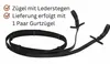 AMKA Trensenzaum Shiny dekoratives Stirnband Glitzersteine Produktbild-Vorschau 3