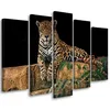 5-teiliges leinwandbild leopard panther katze tier 150x100 Produktbild-Vorschau 1