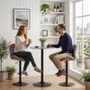 Barhocker 2er Set Höhenverstellbar Drehbar Tresenhocker mit Produktbild-Vorschau 9