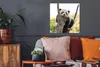 MuchoWow® Poster Panda - Baum - Licht 50x50 cm - Produktbild-Vorschau 2