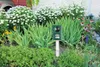Solárny elektronický odpudzovač Garden King MULTI PLUS Náhľad obrázku produktu 2