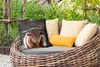MuchoWow® Outdoor Kissen - Kuh - Schottisches Hochlandrind Produktbild-Vorschau 3