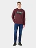 WRANGLER Herren, Sweatshirt GRAPHIC CREW, L, Braun, ralph, Produktbild-Vorschau 5