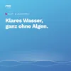 PWS Algizid 1 l, professional Algenmittel für Poolwasser Produktbild-Vorschau 7