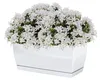 COUBI DUPP300 Blumentopf mit Untersetzer | Weiß Produktbild-Vorschau 4