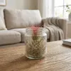 3er-Mix Tillandsia im Glas, Tillandsien, Luftpflanzen, 12 Produktbild-Vorschau 2