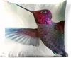 MuchoWow® Outdoor Kissen - Vögel - Kolibri - Rosa - 40x40 Produktbild-Vorschau 1