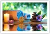 Poster - Poster ohne Rahmen - Natur Entspannung Spa Kerzen Produktbild-Vorschau 1