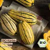Samenliebe  Kürbis Samen | Bush Delicata - samenfestes  Produktbild-Vorschau 4