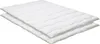 Badenia Trendline® 2er Set Bettdecke Essentials - 135x200 Produktbild-Vorschau 1