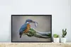MuchoWow® MuchoWow® Gerahmtes Poster Eisvogel - Fisch - Produktbild-Vorschau 4