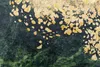 Tapiso koberec TOSCANA Modern Green Grey Gold Obývacia izba Náhľad obrázku produktu 3
