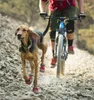 Ruffwear Grip Trex™ Hundeschuhe Produktbild-Vorschau 16