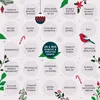 BIO Saatgut Adventskalender "Historische Sorten" - 24 Produktbild-Vorschau 3