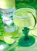 Monin Sirup Limone zur Herstellung von Säften und Cocktails Produktbild-Vorschau 8