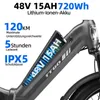48V 15Ah E-Bike Softtail-Federung 7-Gang Getriebe 20 *4.0" Produktbild-Vorschau 8