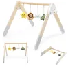 VIGA PolarB Oblouk Stojan pro Miminka Baby Gym Náhled obrázku produktu 1