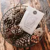 Bridgewater Candle Duftsachet Sweet Grace Produktbild-Vorschau 3