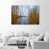 Leinwandbild see natur schilflandschaft 120x80 cm Feeby Produktbild-Vorschau 2