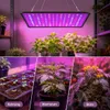 Vollspektrum Pflanzenlampe 256 LEDs, 30W LED Produktbild-Vorschau 7