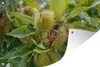 MuchoWow® Produktbild-Vorschau 1