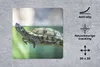 MuchoWow® Mauspad Mousepad Nahaufnahme einer Schildkröte Produktbild-Vorschau 2