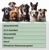 123... Pes s vami! - Žuvacie valčeky XXL 50er zásobník Náhľad obrázku produktu 6