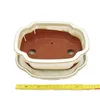 Bonsai-Schale mit Untersetzer Gr. 4 – hellbeige – Produktbild-Vorschau 2
