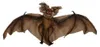 Guirca Fledermaus 60 Cm    One Size Produktbild-Vorschau 2
