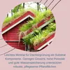 Edelbims 20 L 8/16 mm 100% Natürlicher Bimsstein Bims Produktbild-Vorschau 5