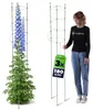 KADAX Supporto per piante perenni 180 cm, 3 pezzi, supporto Anteprima dell’immagine prodotto 1