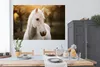 MuchoWow® Poster Pferd - Sonne - Herbst - Tiere - Natur Produktbild-Vorschau 3