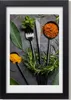 Bild 20x30 MDF-Rahmen, Wandkunst Besteck und Gewürze Produktbild-Vorschau 1