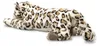 Steiff, leopardo delle nevi Parddy sdraiato, 55 cm, 061691 Anteprima dell’immagine prodotto 3