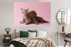 MuchoWow® Poster Katze - Hund - Rosa 180x120 cm - Produktbild-Vorschau 4
