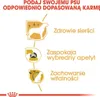 Diagram illustrating the benefits of Royal Canin Yorkshire Terrier Adult dog food. Produktbild-Vorschau