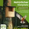Waldfunk Nistkasten Halbhöhle für Rotkehlchen & Co. | Produktbild-Vorschau 4