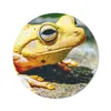 MuchoWow® Mauspad Mousepad Gelber Frosch auf dem Boden Produktbild-Vorschau 1