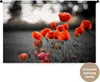 MuchoWow® Wandteppich Wandbehang Wilde rote Mohnblumen auf Produktbild-Vorschau 1