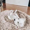 Pelech pre domácich miláčikov, nadýchaný pelech pre psov a Náhľad obrázku produktu 6