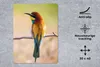 MuchoWow® Mauspad Mousepad Vögel - Bienenfresser - Tiere Produktbild-Vorschau 2