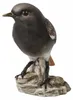 Goebel Vogel des Jahres 2025 Hausrotschwanz (Figur, Podgląd zdjęcia produktu 8