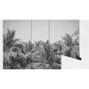 Coloray Fototapete 416x254 cm Vlies-Fototapete - Palmen Produktbild-Vorschau 4
