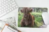MuchoWow® Mauspad Mousepad Schottischer Highlander - Kröte Produktbild-Vorschau 5