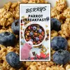 Colazione calda per pappagalli ai frutti di bosco | Piatto Anteprima dell’immagine prodotto 2