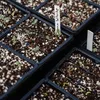 Perlit Perlite Sack 125L für Pflanzen zur Bodenverbesserung Produktbild-Vorschau 7
