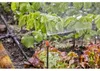 GARDENA Sprühdüse Sprühdüse 90° Inhalt: 5 Stück Produktbild-Vorschau 20