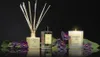 Cereria Molla 1899 Reed Raumduft Diffuser 100ml Black Produktbild-Vorschau 3