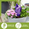 Scheurich Wasserspeicher Bördy XL | 8x Lila | 620ml Produktbild-Vorschau 3