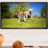 A television screen displaying dogs playing in a grassy field, with the backs of people visible in the foreground. Voir les images du produit